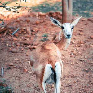 How did you find me? 
I didn't hear you coming.