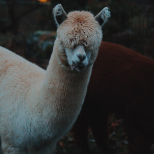 Yes... I can SEE clearly!