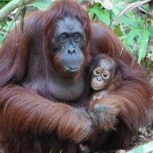 "Loving hugs create miracles!"