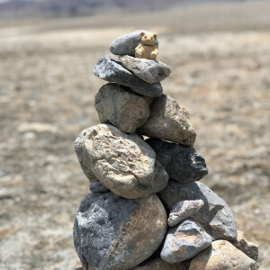 We shift, roll and move. Know where you are putting your feet so you don't fall.