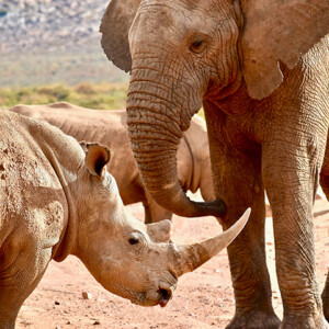 A new circle of friends! They understand and walk the TBI path.