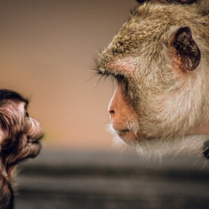 Some parents do not understand. Where did my baby go?